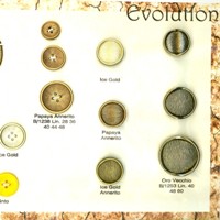 EVOLUTION 7812-8